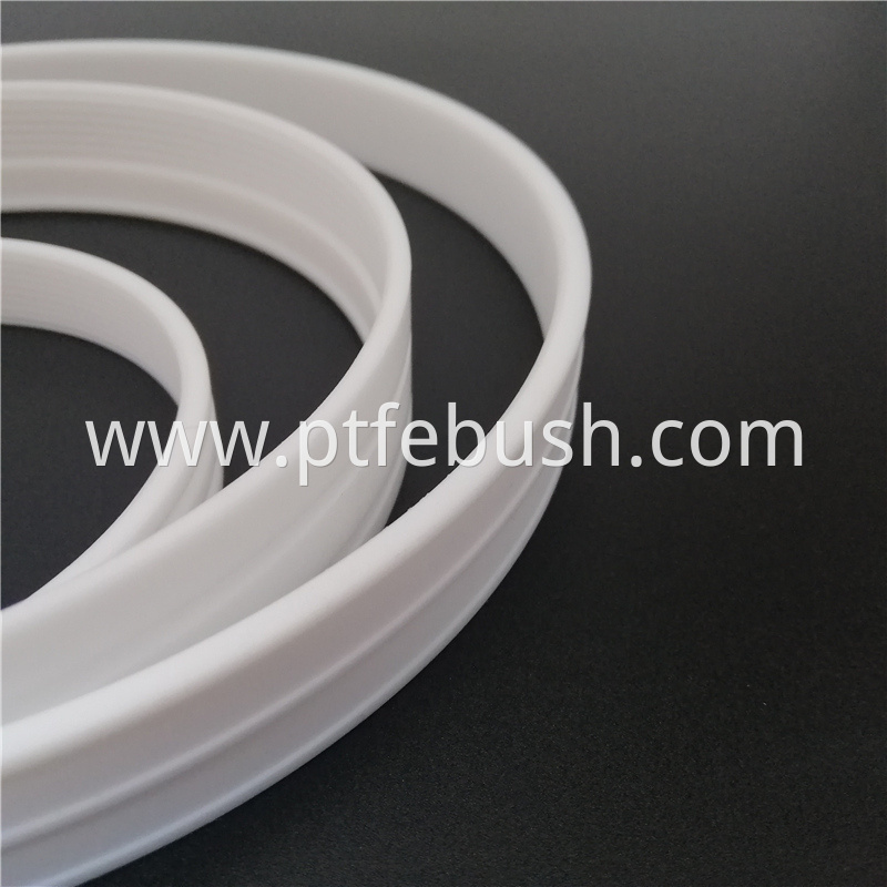 Pure Ptfe Rotary Seal 3